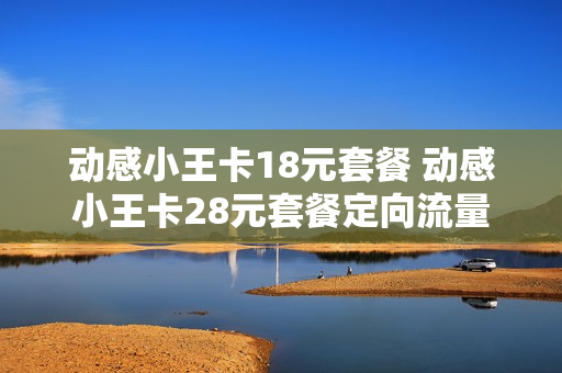 动感小王卡18元套餐 动感小王卡28元套餐定向流量