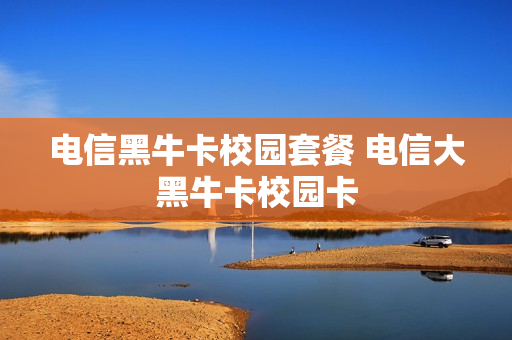 电信黑牛卡校园套餐 电信大黑牛卡校园卡