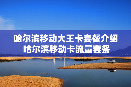 哈尔滨移动大王卡套餐介绍 哈尔滨移动卡流量套餐
