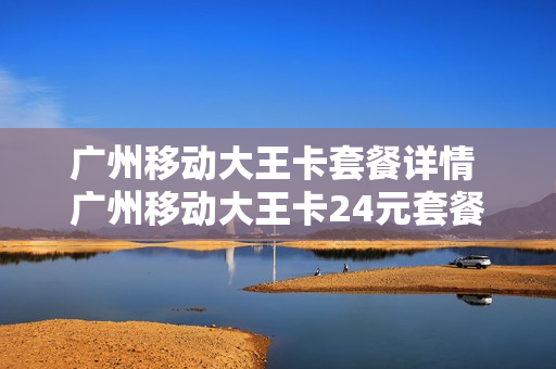 广州移动大王卡套餐详情 广州移动大王卡24元套餐