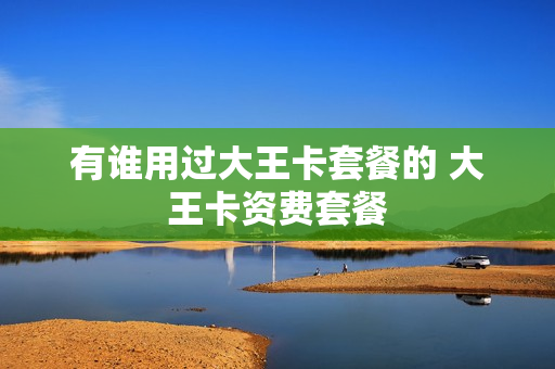 有谁用过大王卡套餐的 大王卡资费套餐