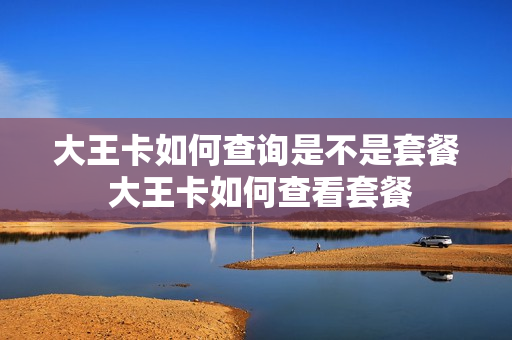 大王卡如何查询是不是套餐 大王卡如何查看套餐