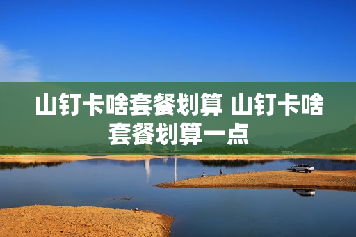 山钉卡啥套餐划算 山钉卡啥套餐划算一点