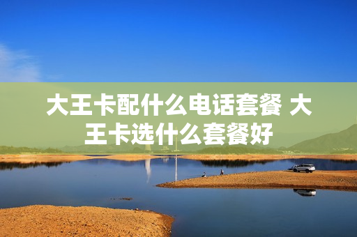 大王卡配什么电话套餐 大王卡选什么套餐好