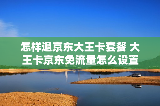 怎样退京东大王卡套餐 大王卡京东免流量怎么设置