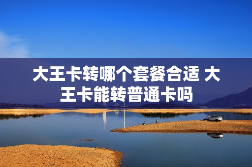 大王卡转哪个套餐合适 大王卡能转普通卡吗
