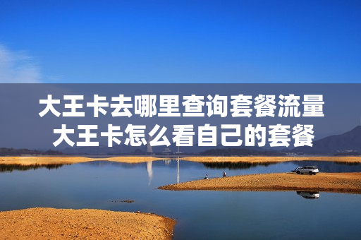 大王卡去哪里查询套餐流量 大王卡怎么看自己的套餐
