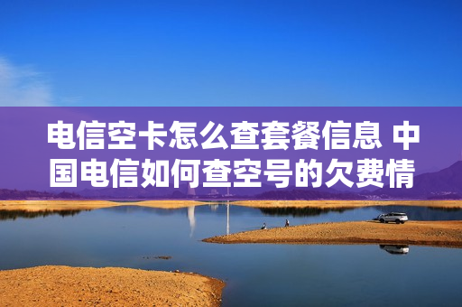 电信空卡怎么查套餐信息 中国电信如何查空号的欠费情况