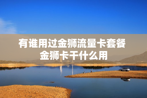 有谁用过金狮流量卡套餐 金狮卡干什么用