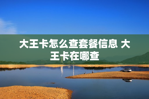 大王卡怎么查套餐信息 大王卡在哪查