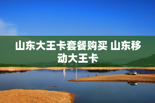 山东大王卡套餐购买 山东移动大王卡