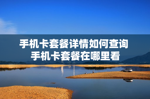手机卡套餐详情如何查询 手机卡套餐在哪里看