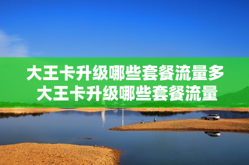 大王卡升级哪些套餐流量多 大王卡升级哪些套餐流量多一点