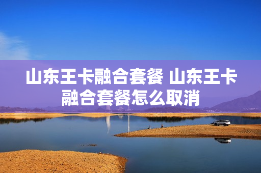 山东王卡融合套餐 山东王卡融合套餐怎么取消