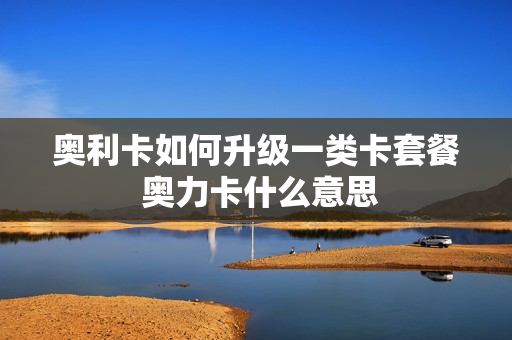 奥利卡如何升级一类卡套餐 奥力卡什么意思