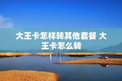 大王卡怎样转其他套餐 大王卡怎么转