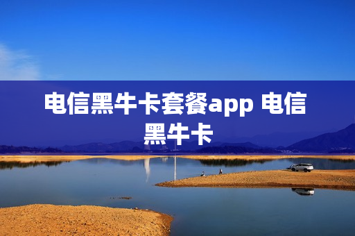 电信黑牛卡套餐app 电信 黑牛卡