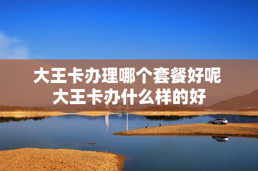 大王卡办理哪个套餐好呢 大王卡办什么样的好
