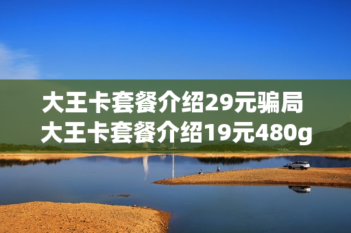 大王卡套餐介绍29元骗局 大王卡套餐介绍19元480g
