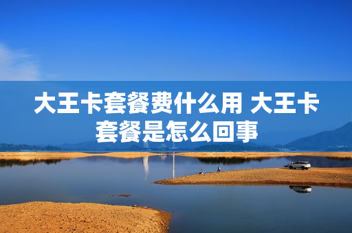 大王卡套餐费什么用 大王卡套餐是怎么回事