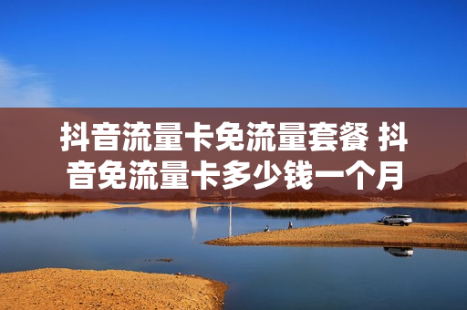 抖音流量卡免流量套餐 抖音免流量卡多少钱一个月