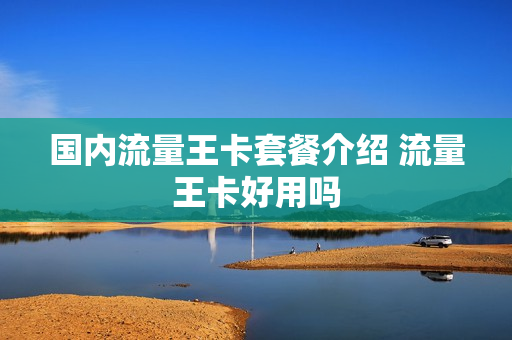 国内流量王卡套餐介绍 流量王卡好用吗