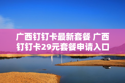 广西钉钉卡最新套餐 广西钉钉卡29元套餐申请入口