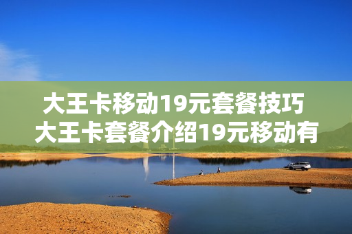 大王卡移动19元套餐技巧 大王卡套餐介绍19元移动有手机号吗