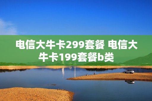 电信大牛卡299套餐 电信大牛卡199套餐b类
