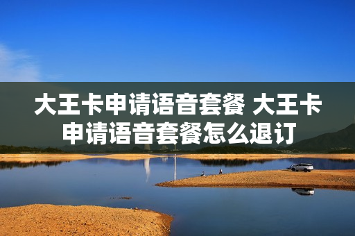 大王卡申请语音套餐 大王卡申请语音套餐怎么退订