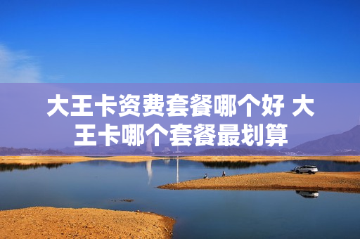 大王卡资费套餐哪个好 大王卡哪个套餐最划算