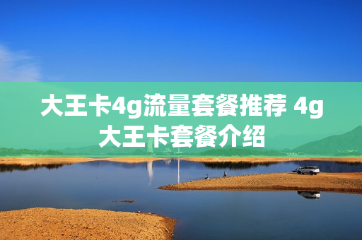 大王卡4g流量套餐推荐 4g大王卡套餐介绍