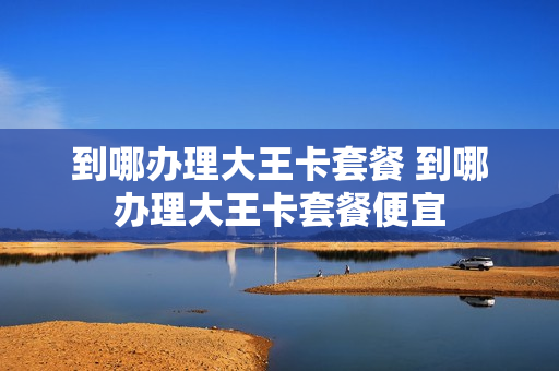 到哪办理大王卡套餐 到哪办理大王卡套餐便宜