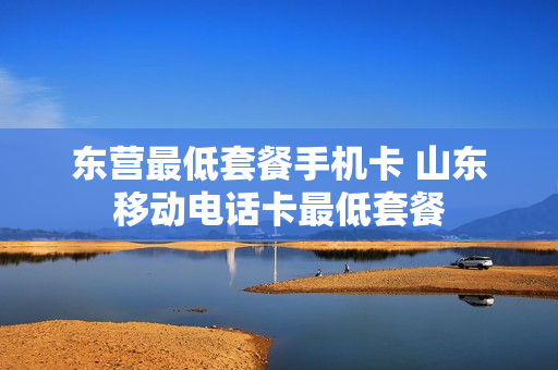 东营最低套餐手机卡 山东移动电话卡最低套餐