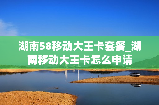 湖南58移动大王卡套餐_湖南移动大王卡怎么申请