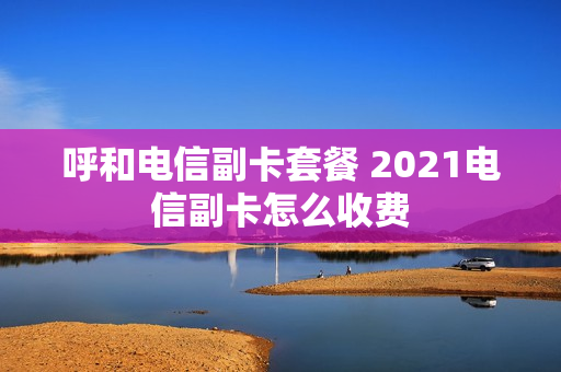 呼和电信副卡套餐 2021电信副卡怎么收费