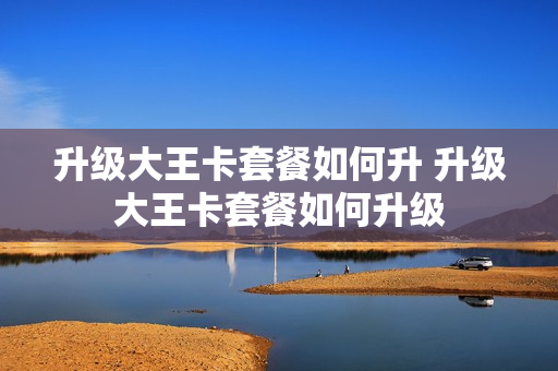 升级大王卡套餐如何升 升级大王卡套餐如何升级