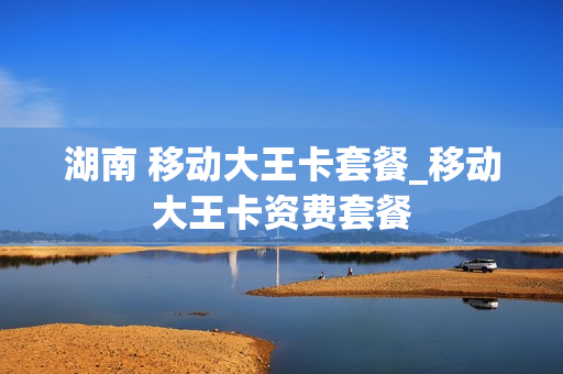 湖南 移动大王卡套餐_移动大王卡资费套餐