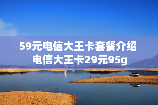 59元电信大王卡套餐介绍 电信大王卡29元95g