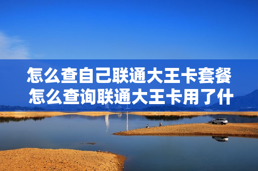 怎么查自己联通大王卡套餐 怎么查询联通大王卡用了什么样的套餐?