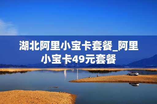 湖北阿里小宝卡套餐_阿里小宝卡49元套餐