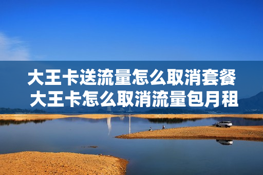 大王卡送流量怎么取消套餐 大王卡怎么取消流量包月租费