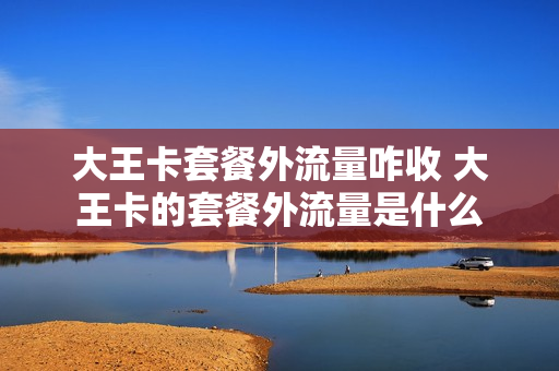 大王卡套餐外流量咋收 大王卡的套餐外流量是什么