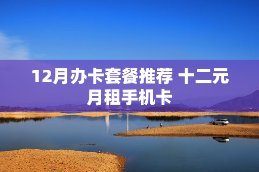 12月办卡套餐推荐 十二元月租手机卡