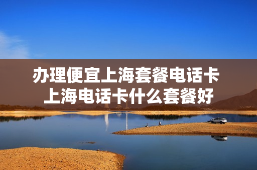 办理便宜上海套餐电话卡 上海电话卡什么套餐好