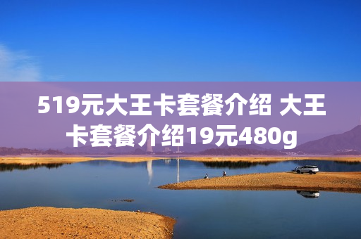 519元大王卡套餐介绍 大王卡套餐介绍19元480g