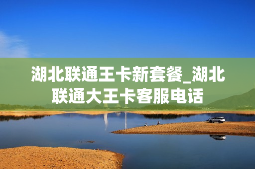 湖北联通王卡新套餐_湖北联通大王卡客服电话