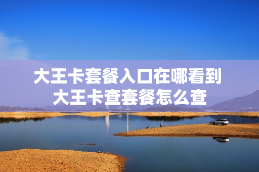 大王卡套餐入口在哪看到 大王卡查套餐怎么查