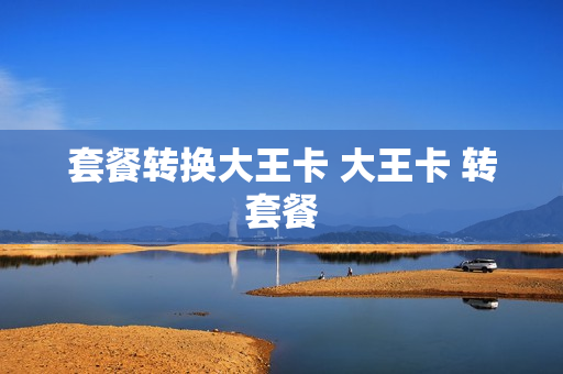 套餐转换大王卡 大王卡 转套餐