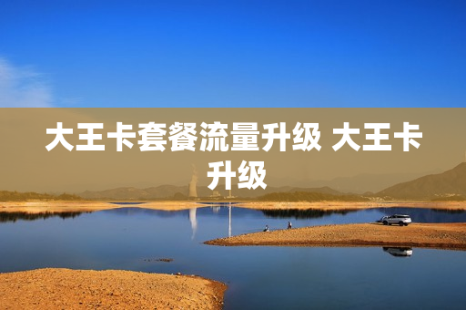 大王卡套餐流量升级 大王卡 升级